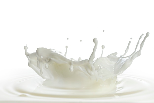Verser des éclaboussures de lait fond blanc isolé