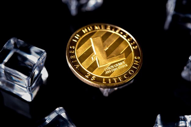 Version physique de l'argent virtuel Golden Litecoin pour le paiement sur Internet