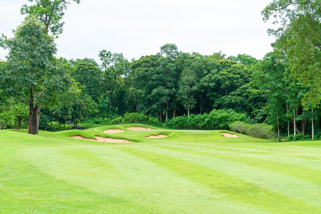 Vert avec bunkers de sable sur le terrain de golf