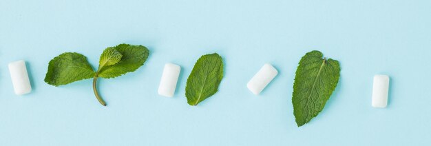 Vert menthe avec feuilles et chewing-gum sur fond bleu