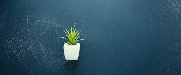 Vert petite plante en pot blanc couché sur le côté