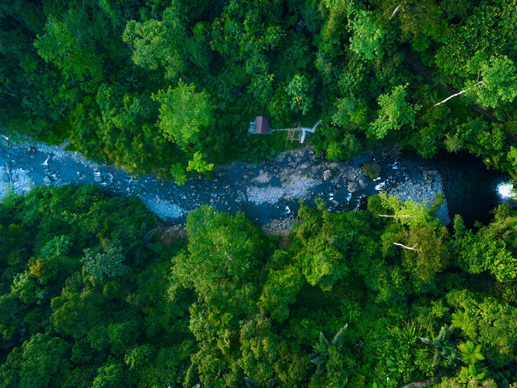 Photo vert, vue aérienne, forêt, nord, bengkulu, indonésie, incroyable, lumière, dans, forêt