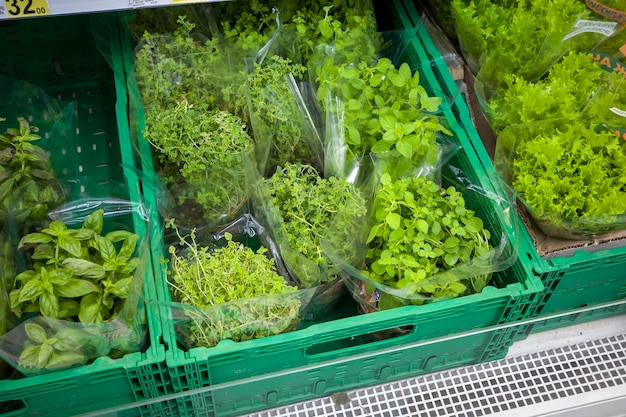 Verts pour les salades sur le comptoir du magasin alimentaire pour les clients