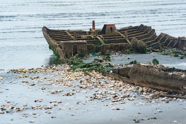 Vestiges d'un navire naufragé sur un bord de mer brumeux