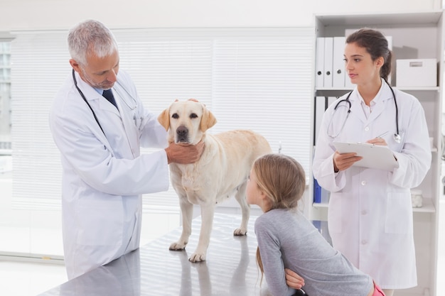 Vet collègue examinant un chien avec son propriétaire