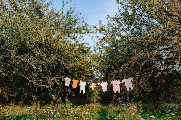 Vêtements de bébé sur des pinces à linge dans un verger de pommiers Décor pour une séance photo d'une femme enceinte