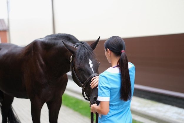 Le vétérinaire caresse et communique avec le cheval à l'extérieur