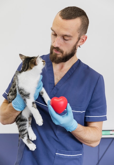 Photo vétérinaire coup moyen tenant un jouet en forme de chat et de coeur