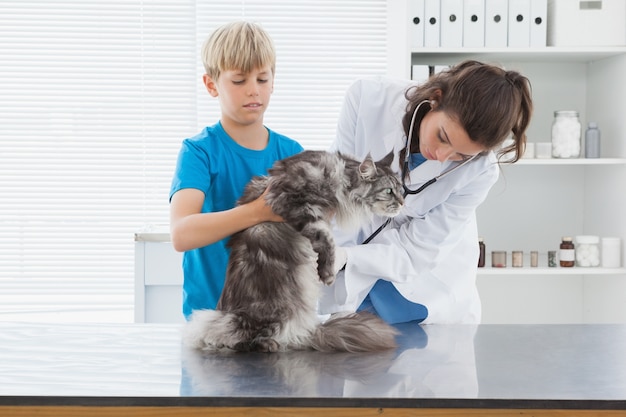 Vétérinaire examinant un chat avec son propriétaire