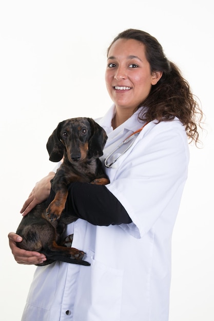 Vétérinaire examinant et tenant un chien mignon dans un cabinet médical