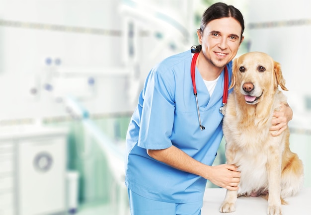 Vétérinaire mâle avec chien