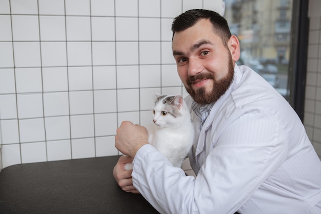Vétérinaire masculin avec un chat dans sa clinique