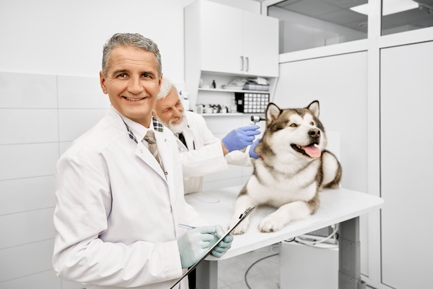 Vétérinaire mature regardant la caméra, tandis que le médecin observe le chien.