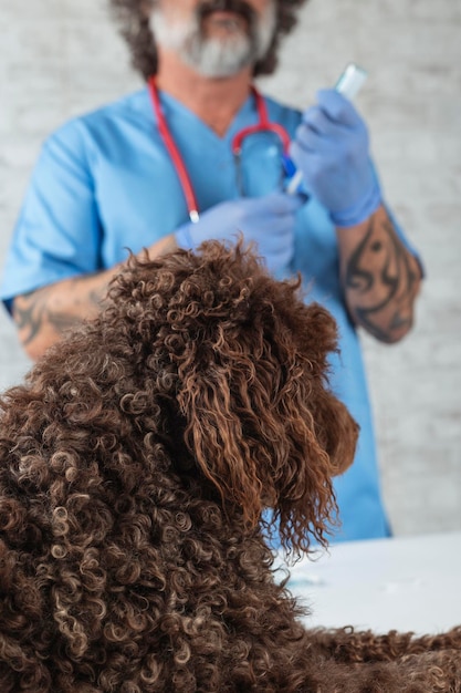 Photo vétérinaire préparant le vaccin pour le chien