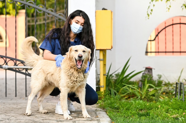 Vétérinaire réconfortant un mignon chien Golden Retriever à l'extérieur