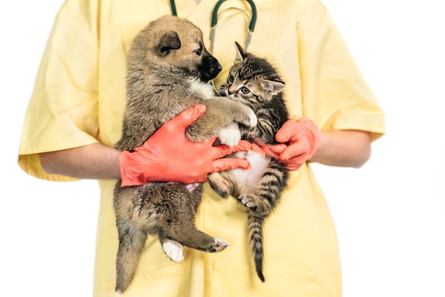 Vétérinaire Souriant Et Chiot Et Chaton En Clinique Isolé Sur Fond Blanc