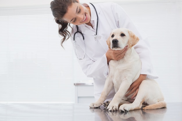 Vétérinaire souriant examinant un chien mignon