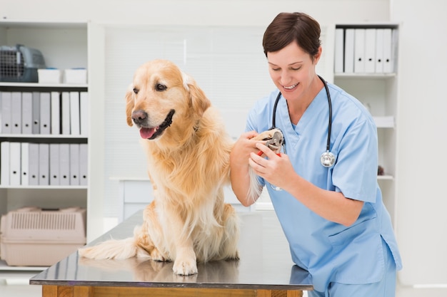 Vétérinaire utilisant un coupe-ongles sur un chien