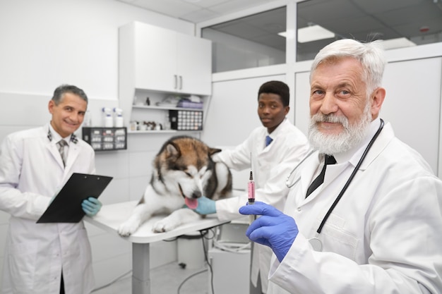 Vétérinaires posant en clinique vétérinaire avec du malamute d'Alaska.