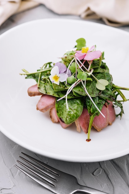 Viande de canard grillée avec salade sur assiette