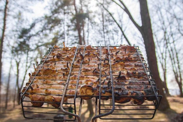 viande de poulet cuite sur un barbecue dans la nature