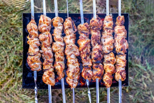 Viande de poulet frit sur brochettes vue de dessus