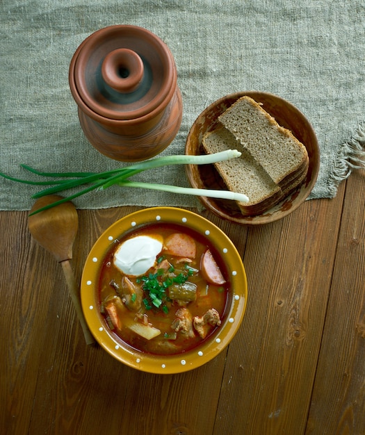 Viande seljanka soupe russe épaisse, épicée et aigre