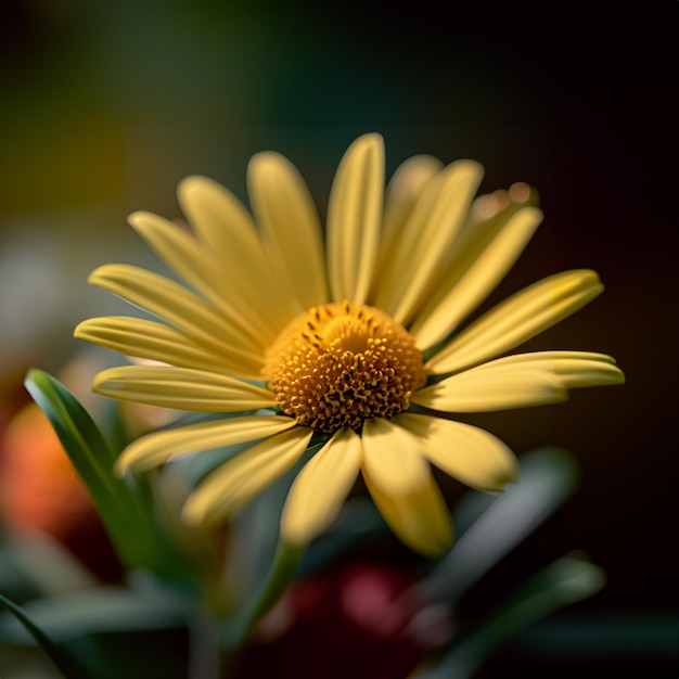 Photo vibrantes et luxuriantes, les fleurs jaunes attirent l'attention avec leur teinte ensoleillée.