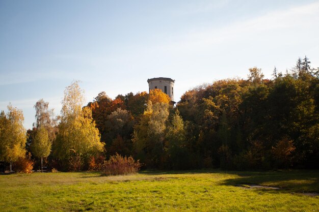 Photo vibrations d'automne