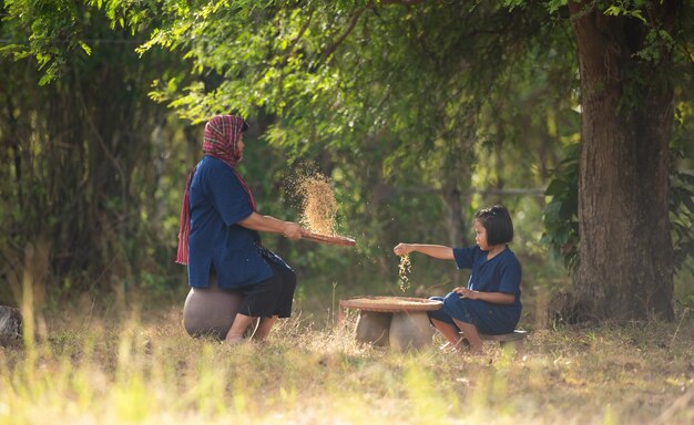 La vie rurale des agriculteurs thaïlandais Plus de 70 doivent vivre de l'agriculture en tamisant le riz avec des paniers