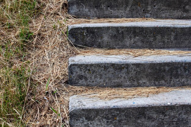 Un vieil escalier à la campagne