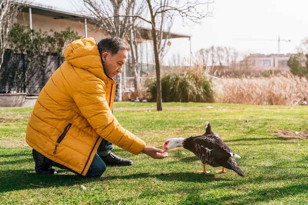 Un vieil homme caucasien nourrir un canard sur l'herbe d'un lac