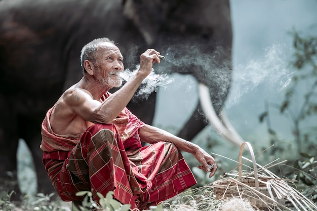 Le vieil homme est assis heureux de fumer. En élevant des éléphants dans la forêt Dans les zones rurales de Thaïlande