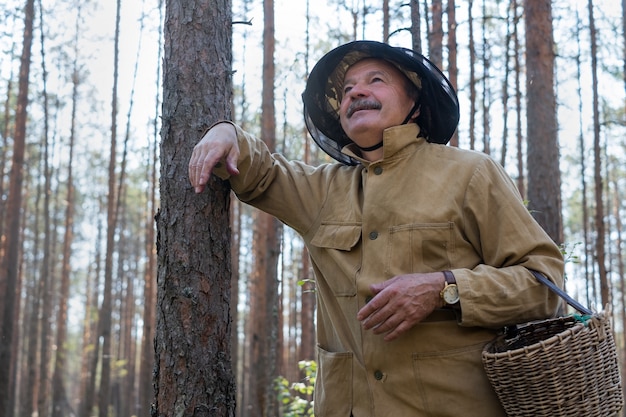 Vieil homme marchant. Grand-père pensionné. Randonnée senior en forêt. L'été et les loisirs. Vieux champignon barbu dans la forêt d'été