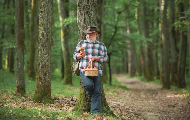 Vieil homme marchant grand-père retraité senior randonnée en forêt été et passe-temps vieux champignon barbu