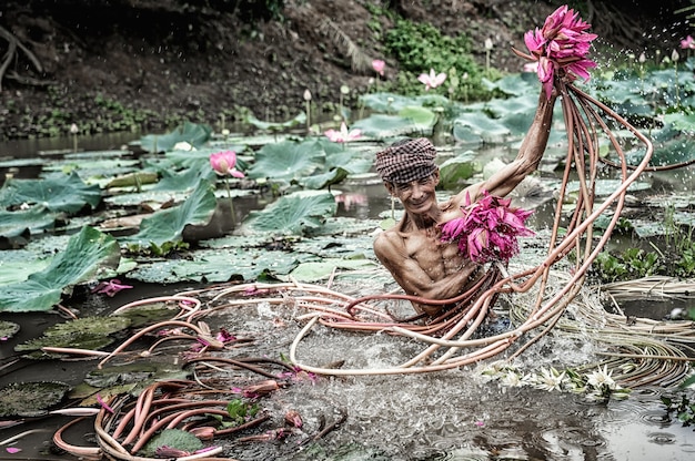 Vieil homme vietnamien ramassant le beau lotus rose dans le lac dans la province de phu an giang