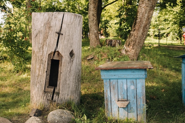 Une vieille allée en bois se dresse dans la forêt Les maisons d'abeilles sont situées sur l'herbe verte