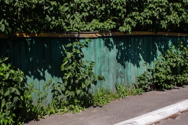 Vieille barrière en bois verte dans le village