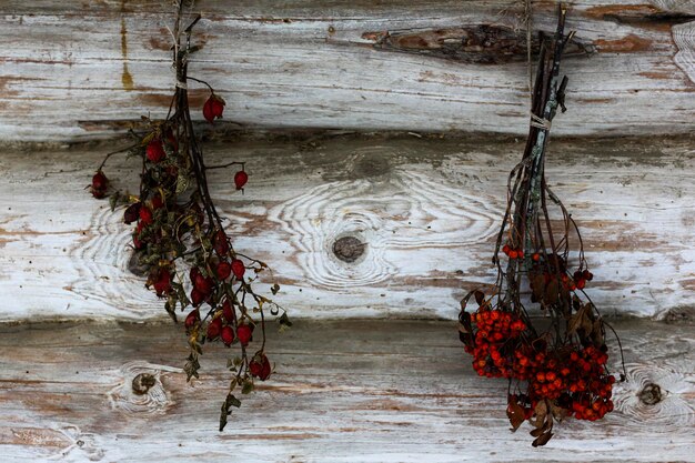 Une vieille cabane en bois et une grange en rondins Préparation d'herbes pour le thé Bouquet séché de sorbier rose sauvage