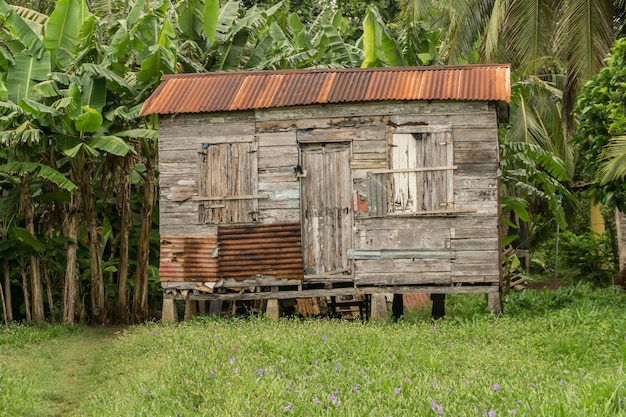 Vieille cabane en bois