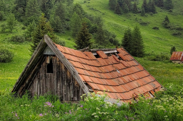 vieille cabane