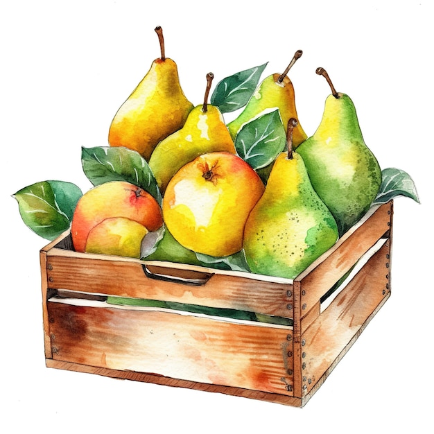 vieille caisse remplie de fruits en aquarelle