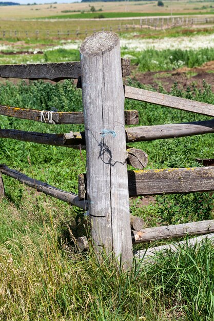 Vieille clôture en bois gris sur le champ de l'agriculteur, ce qui limite le mouvement du bétail