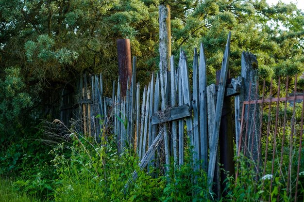 Une vieille clôture en bois avec de l'herbe avec des arbres verts