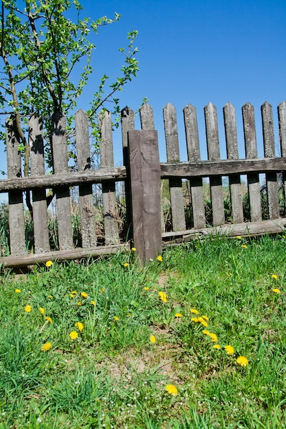 Vieille clôture en bois