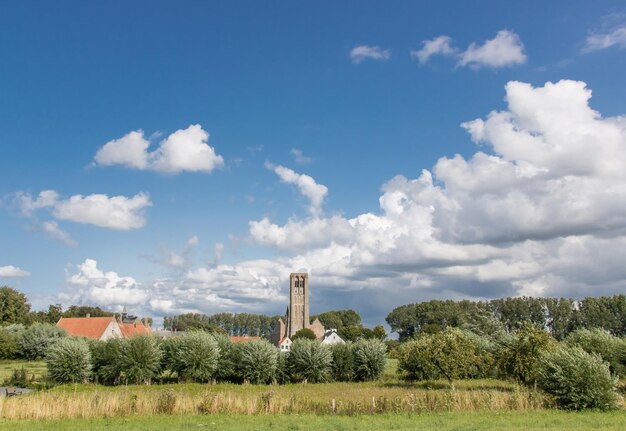 Photo vieille église et arbres sur le champ contre le ciel