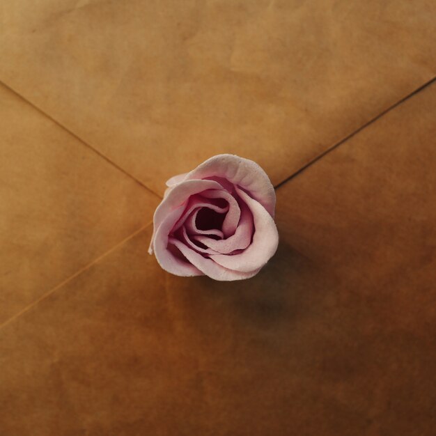 Une vieille enveloppe brune, fleur rose rose sur fond bleu. Lay plat minimal