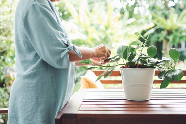 Une vieille femme âgée asiatique heureuse et souriante plante pour un passe-temps après sa retraite dans une maison.