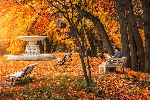 Une vieille femme sur un banc dans le jardin Neskuchny à Moscou parmi les arbres d'automne jaune-rouge