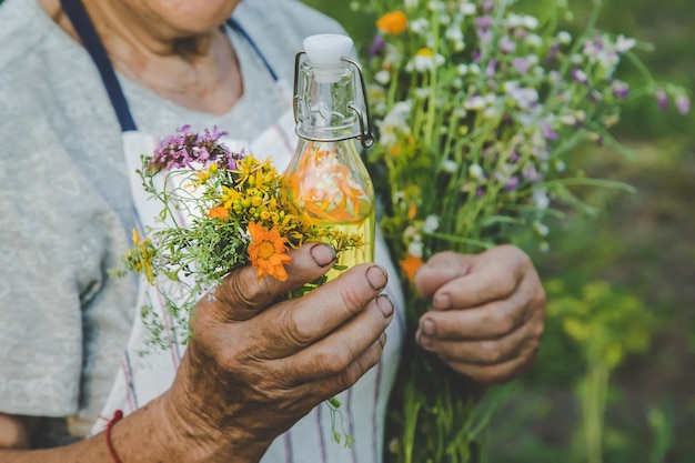 Une vieille femme fait une teinture à base de plantes Mise au point sélective